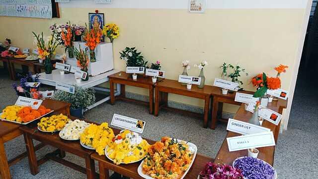 Display of flowers