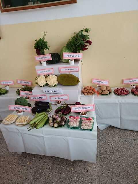 Display of vegetables